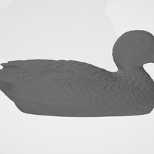 wild duck 3d print model - Mito3D