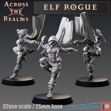 elf rogue toys & games female assassin thief arcane trickster 3d print model - Mito3D