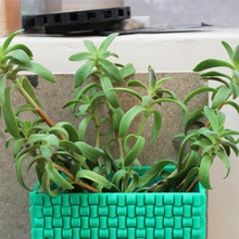 weaved flower pot & garden 3d print model - Mito3D