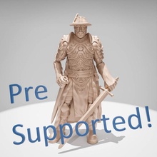 captain guard toys & games boss fantasy fighter human sword table character beard commander noble dnd nobleman haven gloomhaven gloom 3d print model - Mito3D