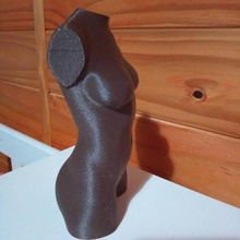 busto femenino masculino education maniqui 3d print model - Mito3D
