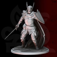 sergeant - silus tabletop armour detailed fantasy knight soldier griffin dnd ornate mercenary sergeant 3d print model - Mito3D