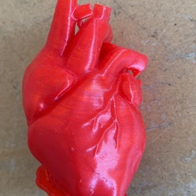 heart - bigger 3d print model - Mito3D