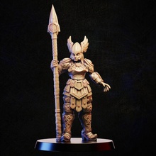 valkyrie spear store female knight rpg warrior woman miniature tabletop wargame 3d print model - Mito3D
