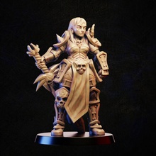 female knight store hero rpg warrior woman miniature tabletop wargame 3d print model - Mito3D