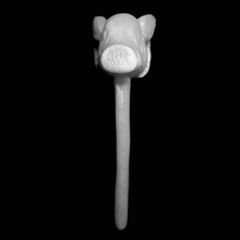 Schwein garniert lynch pin british museum london scan 3d print model - Mito3D