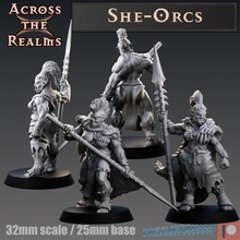 she-orcs female gaming orc spear tabletop 32mm dnd5e 3d print model - Mito3D