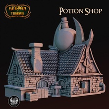 potion shop store fdm house pla dnd ender3pro terrian potionhouse potionshop potionbuilding 3d print model - Mito3D