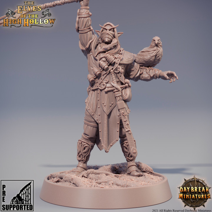 se klooser elfi alto cavo negozio draghi dungeon mini miniature tavolo gioco guerra alba 3D print model - Mito3D