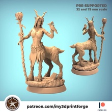 orman perisi centaur 32mm 75mm pre supported mağaza kuş kadın heykelcik minyatür şekil vermek Warcraft vay dnd insansı tanıdık önceden desteklenen Forrest kantaron 3d print model - Mito3D