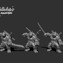 turtle folk guerriers épéiste fantaisie tortue guerrier 3d print model - Mito3D