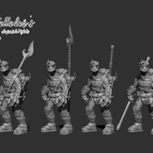 turlte-folk warriors - spear & bo store fantasy turtle warrior 3d print model - Mito3D