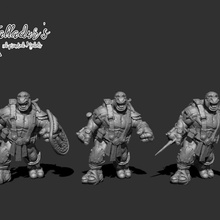 turlte-folk warriors - sai spear shield fantasy turtle warrior 3d print model - Mito3D