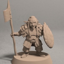 mirik tortue ancien fantaisie lutin miniatures rpg bouclier soldat lance guerrier miniature dnd ttrpg 3d print model - Mito3D