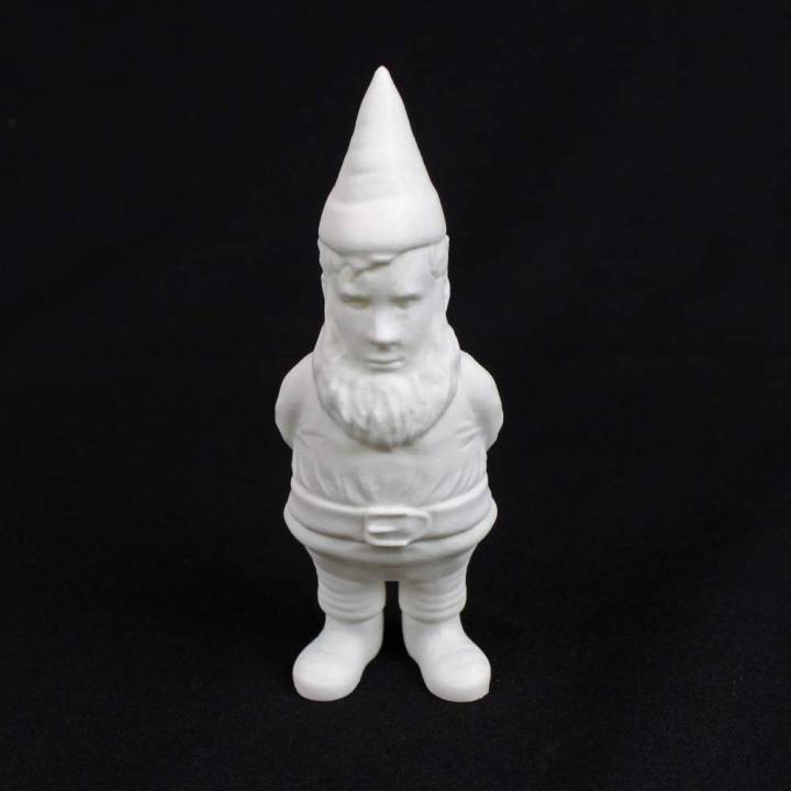 myminiyou rees - gnome fan art scan mymini3d 3D print model - Mito3D