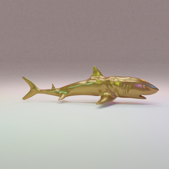 gratuito squalo 3d 3D print model - Mito3D