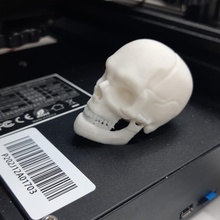 Humain crâne 3d print model - Mito3D