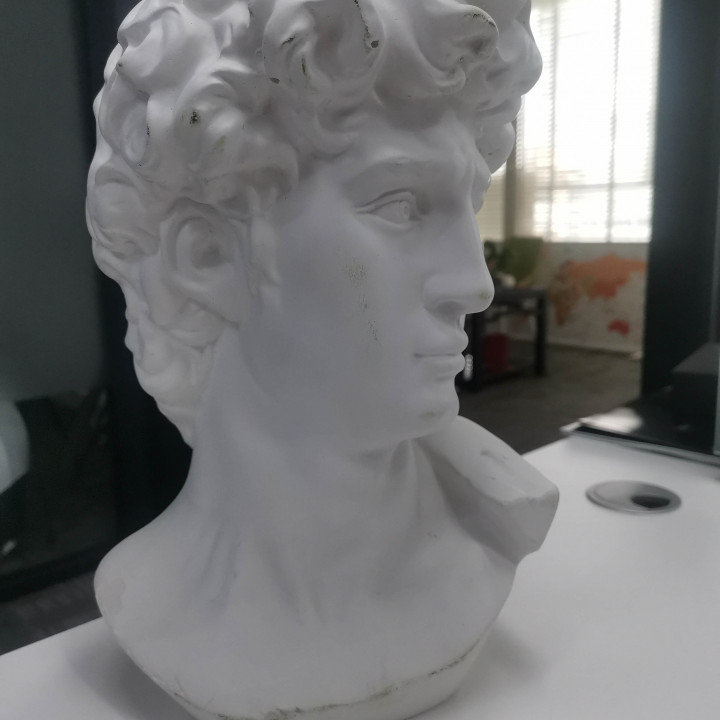 david scansionato revopoint pop arte scultura michelangelo 3D print model - Mito3D