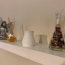 Voronoi vaso jardim caixa jarra 3d print model - Mito3D