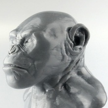 caesar - planet apes fan art portrait sculpture 3d print model - Mito3D