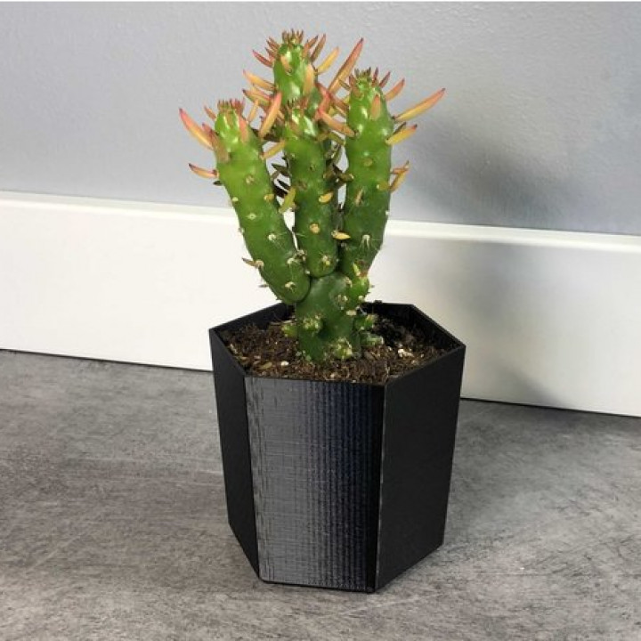 mini cactus Topf Mini Kaktus 3D print model - Mito3D