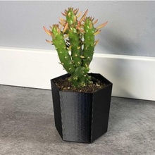 mini cactus pot 3d print model - Mito3D