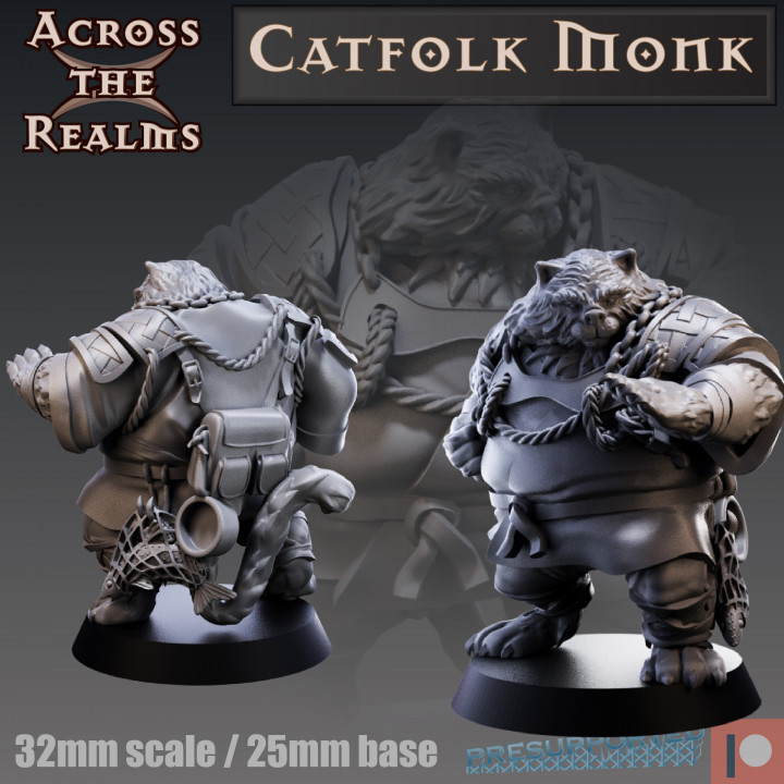 catfolk monk gaming miniature tabletop tabaxi dnd5e 3D print model - Mito3D