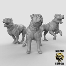 perros juguetes juegos animal perro mazmorras calabozos Dragones dnd 3d print model - Mito3D