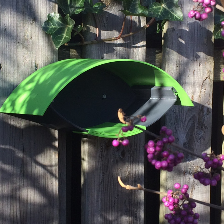 bird feeder & garden bird