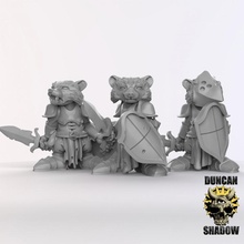 racoon folk knights pre supported toys & games fantasy dungeonsanddragons dnd tabletopgames anthropomorphic ttrpg presupported humblewood burowsandbadgers 3d print model - Mito3D