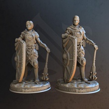 knights dawn - arkeus & arkina toys games dragons dungeons fantasy fighter knight healer twins spellcaster presupported clerics 3d print model - Mito3D