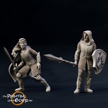 modular brightwood defenders - presupported tabletop elf fantasy female rpg shield spear sword warhammer woman miniature lotr elven 28mm dnd bits cloak fey 5e pre-supported fay statblock 3d print model - Mito3D