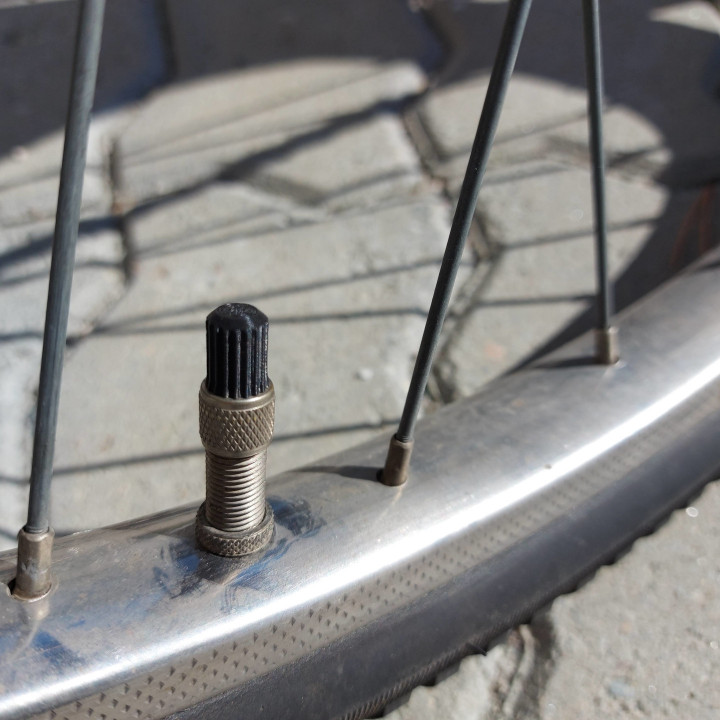dunlop valve cap spare parts bicycle bike tire tyre 3D print model - Mito3D