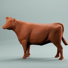 young herford heifer cow & garden farm diorama cowboy ranch modelhorse horsetrail 3d print model - Mito3D