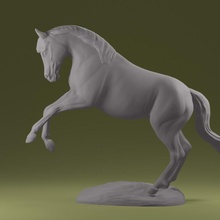 achal caballo jardín elegante granja vaquero equino estable rancho castrado 3d print model - Mito3D