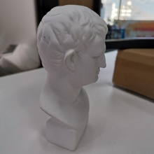 agripa generado revopoint popular mesa Arte escultura 3d print model - Mito3D