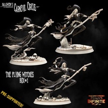 flying witches box 1 toys & games epic fantasy mini model rpg miniature monsters boardgame base role tabletop heroes circus wargame dungeon d&d carnevil warriors pathfinder infinite heroines goblins ragingheroes canival 3d print model - Mito3D