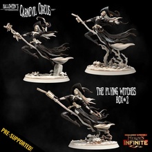 flying witches box 2 toys & games epic fantasy mini model rpg miniature monsters boardgame base role tabletop heroes circus wargame dungeon d&d carnevil warriors pathfinder infinite heroines goblins ragingheroes canival 3d print model - Mito3D