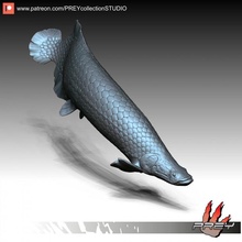 Arapaima oyuncaklar oyunlar hayvan balık Balık tutma Köpekbalığı 3d print model - Mito3D