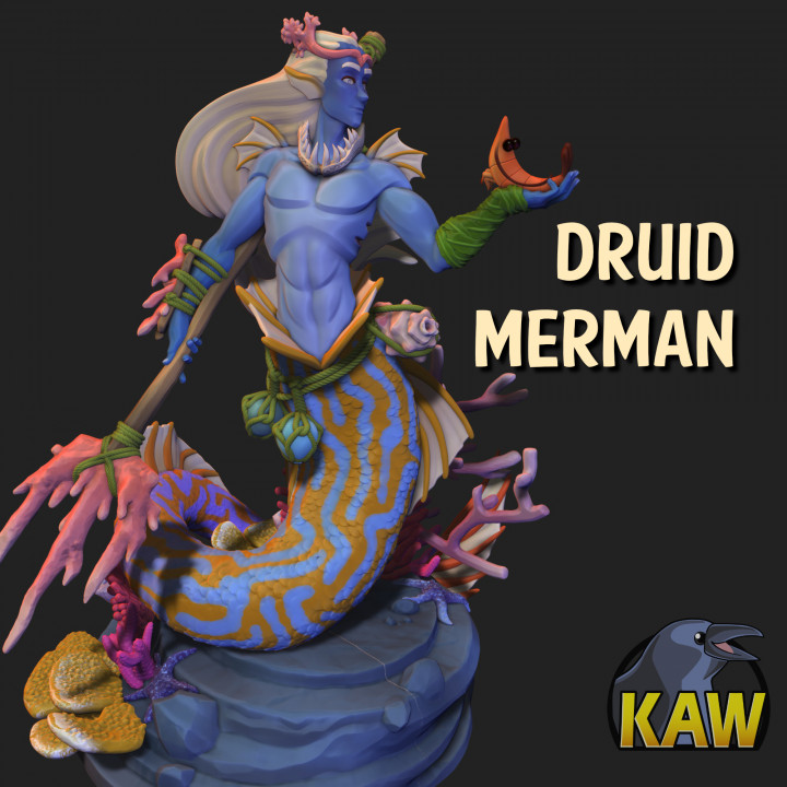 druide triton jouets Jeux vie marine Masculin Sirène crevette mermay 3D print model - Mito3D