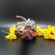 Drago lumaca giardino decorazione draghi figurina arredamento 3d print model - Mito3D