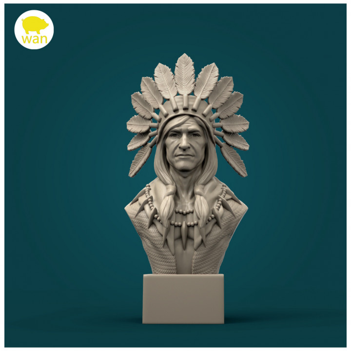 native american bust store historic 3D print model - Mito3D