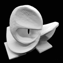 volubilis middelheim d'anvers numérisation 3d print model - Mito3D