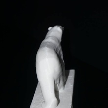 white bear middelheim museum antwerp scan 3d print model - Mito3D