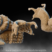 chiton youngling toys & games beast creature dragons dungeons fantasy giant horror modular monster rpg snail tabletop slug worlds 28mm flail 32mm 3d print model - Mito3D