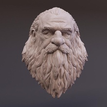 dwarf trophy head & garden anatomy bust design display fantasy figurine character wall painting rings lord collectible realms mounted forgotten details storytelling supported pre 3d print model - Mito3D