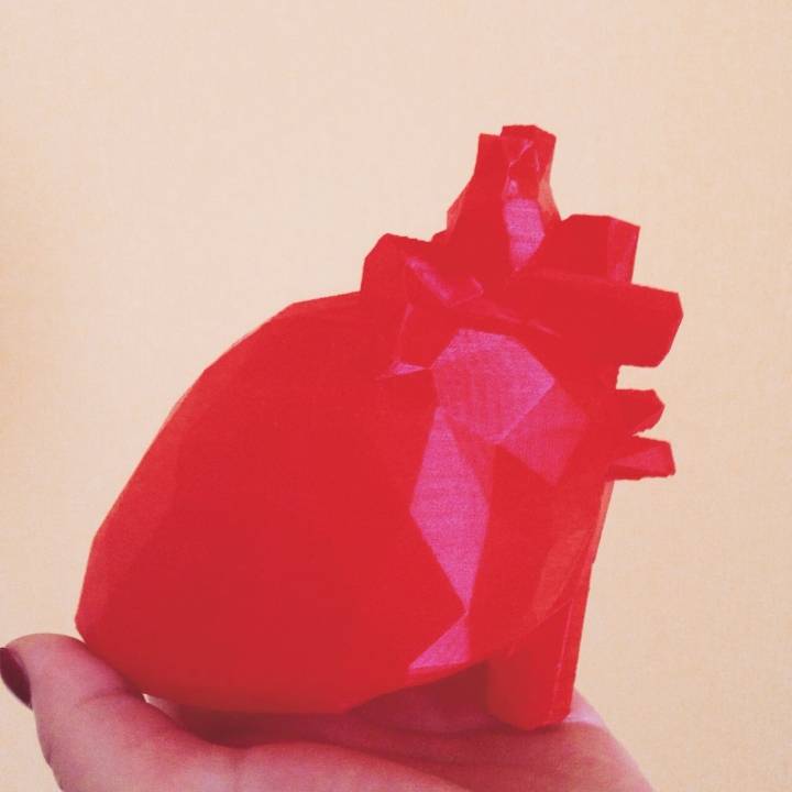 poly heart model education low-poly 3D print model - Mito3D