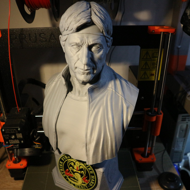 sensei Johnny lawrence william zabka 3D print model - Mito3D
