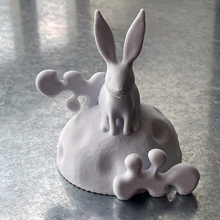 Hase Mond Garten simplify3d sindoh forgerapp Kaninchenmond Kaninchen 3d print model - Mito3D