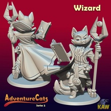 sorcier chat jouets Jeux mignonne fantaisie magie mage table dnd tabaxi 3d print model - Mito3D